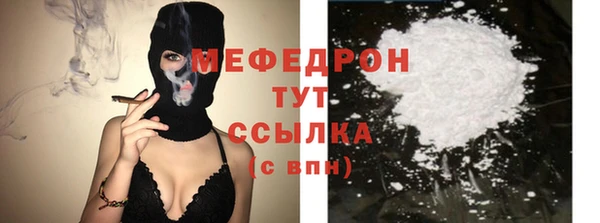 индика Снежногорск