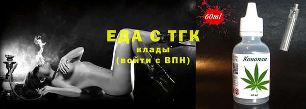 индика Снежногорск