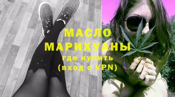 индика Снежногорск