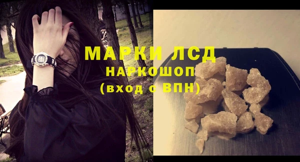 индика Снежногорск