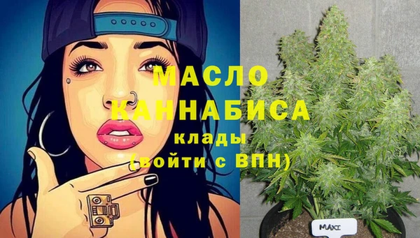 индика Снежногорск