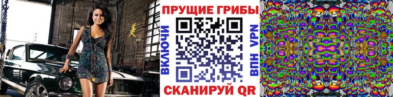 Галлюциногенные грибы Cubensis  Мурманск 