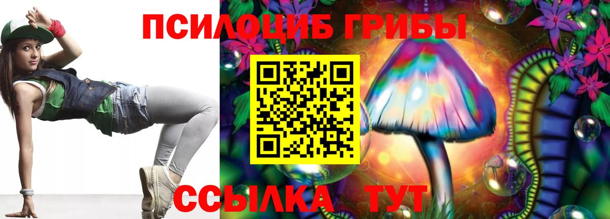 Галлюциногенные грибы прущие грибы Мурманск