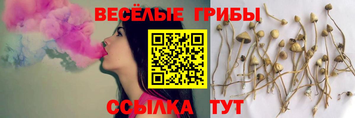 Псилоцибиновые грибы Cubensis  Вход с VPN  Мурманск 
